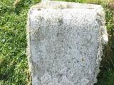 image of grave number 571509